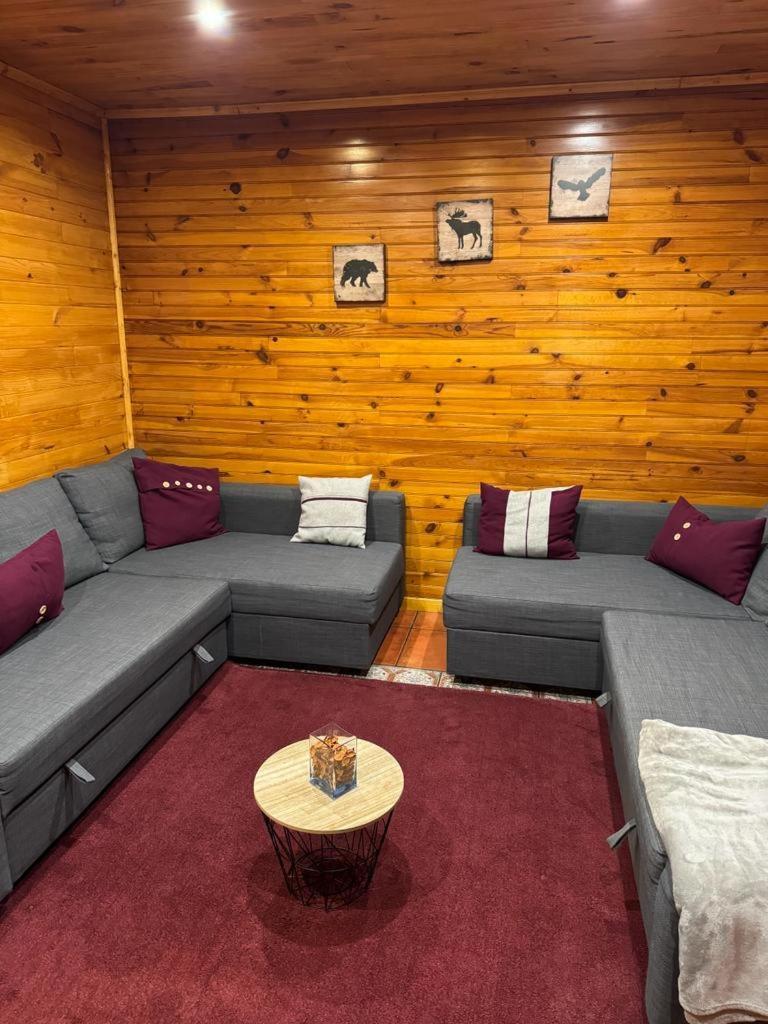 Mountain Lodge T3 Duplex Abrigo Do Lobo Covilhã Exteriör bild